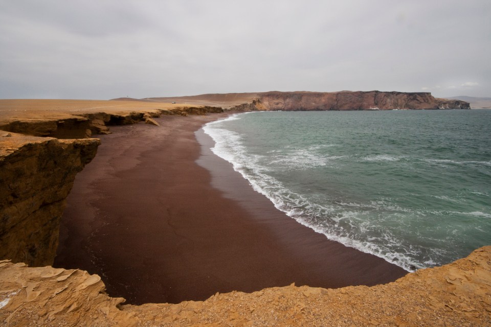 Paracas 237a